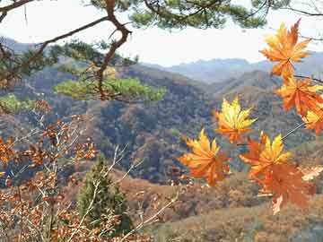 东风标致5008,东风标致5008报价2017款